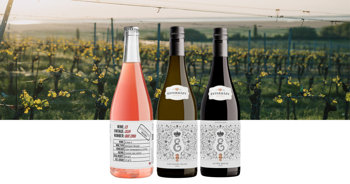 NEW yesss! Geburtstags Special (–21 %)