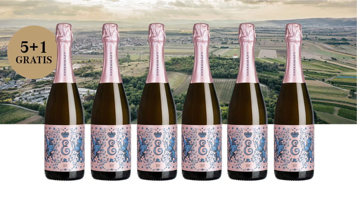 NEW Weinpaket "Sekt Austria Reserve Rosé 5+1"